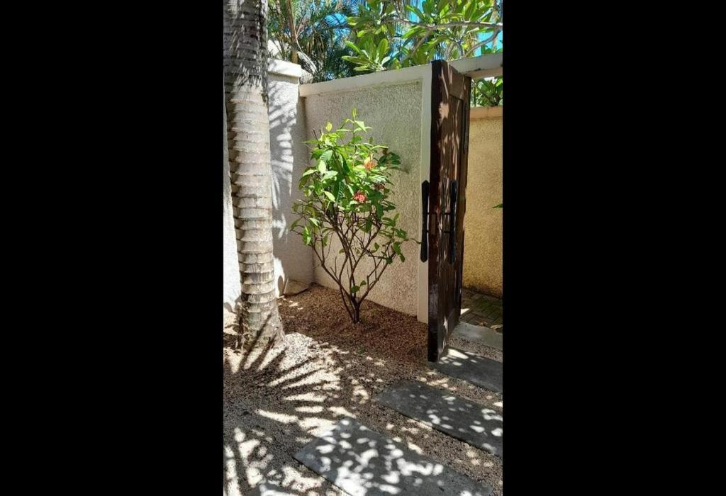Oasis 1 Villa Tropicale Grand-Baie Eksteriør bilde