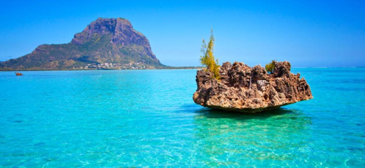 Oasis 1 Villa Tropicale Grand-Baie Eksteriør bilde