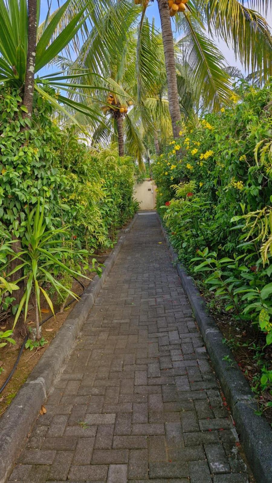 Oasis 1 Villa Tropicale Grand-Baie Eksteriør bilde